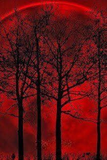 Ánh Trăng Đoạt Mạng