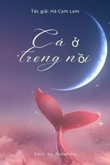 Cá Ở Trong Nồi