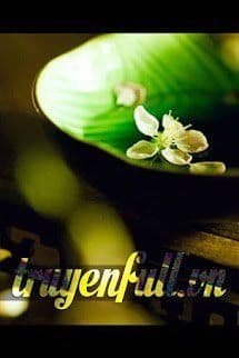 Hồng Trần Nhất Mộng