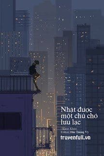 Nhặt Được Một Chú Chó Lưu Lạc