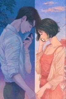 Yêu Lại Từ Đầu