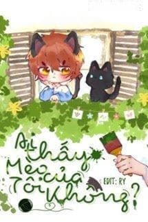 Ai Thấy Mèo Của Tôi Không