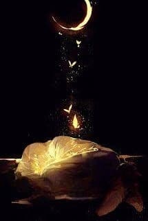 Ánh Trăng Mang Thư Đến