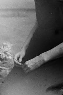 Bản Chất Của Đ.ĩ