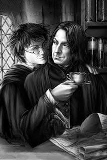 Bảo Hộ Harry Potter Đồng Nhân