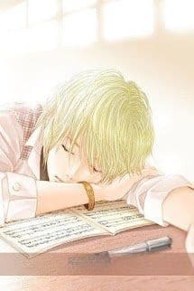 Bao Tử Sủng Vật Điếm