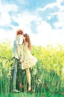 Cánh Đồng Hoa Cải