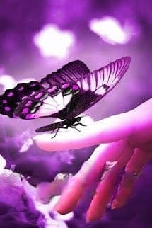 Cậu Là Thư Triển Nhan, Tớ Là Thường Hoan Hỉ