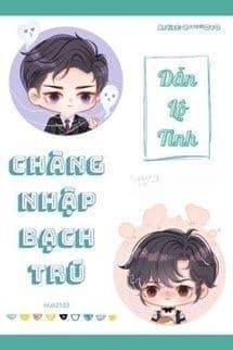 Chàng Nhập Bạch Trú