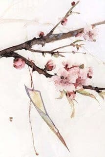 Chàng Trai Vượt Thời Gian