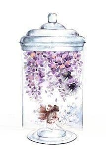 Chiếc Lọ Cầu Vồng