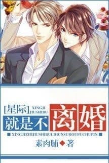 Chính Là Không Ly Hôn