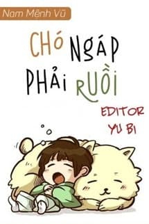 Chó Ngáp Phải Ruồi - Nam Mệnh Vũ