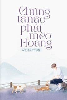Chúng Ta Nào Phải Mèo Hoang