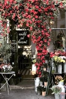 Có Câu Chuyện Gương Vỡ Lại Lành Nào Đẹp Đẽ Không?