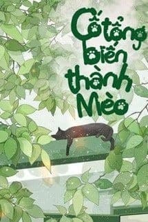 Cố Tổng Biến Thành Mèo