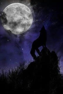 Con Sói Cô Độc Xứ Freljord