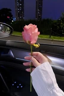 Cự Tuyệt Thâm Tình