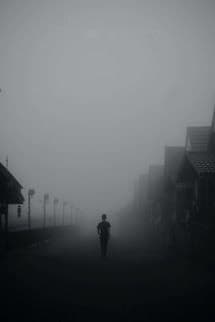 Đi Trong Sương Mù