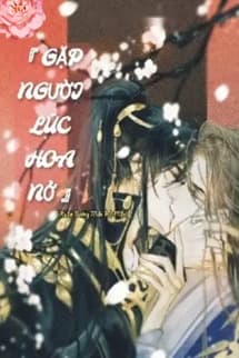 Gặp Người Lúc Hoa Nở