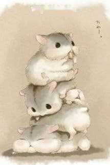 Hamster nhỏ nhà thầy giáo Tiêu