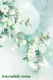 Hoa Nhài Cùng Xuân - Hàn Tê