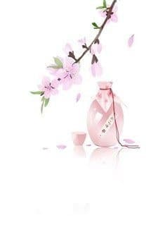 Nữ Phụ Gả Thay Bị Sủng Hằng Ngày