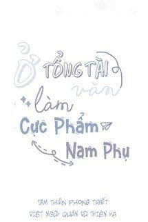 Ở Trong Văn Tổng Tài Làm Cực Phẩm Nam Phụ