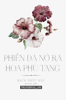 Phiến Đá Nở Ra Hoa Phù Tang