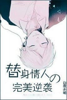 Thế Thân Tình Nhân Đích Hoàn Mỹ Nghịch Tập