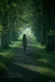 Vạn Giới Quỷ Thám