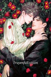 Vùng Cấm Hoa Hồng - Thiên Phi