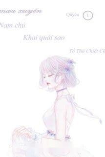 Xuyên Nhanh: Nam Chủ Khai Quải Sao?