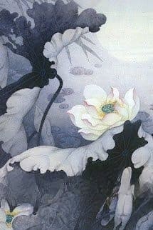 [Xuyên Thư] Không Có Nữ Chủ Bạch Liên Hoa!