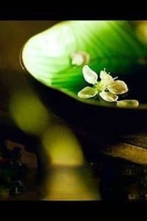 Yêu Quái Thư Trai