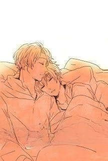 Anh Không Phải Ghét Omega Nhất Sao?