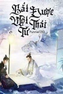 Bắt Được Một Thái Tử