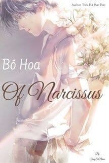 Bó Hoa Của Narcissus