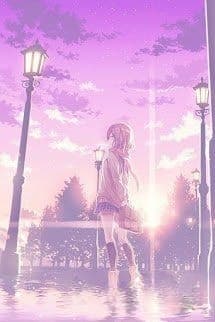 Cây Pháo Bông 37°C