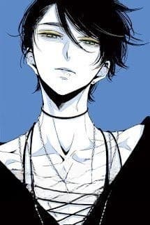 Chàng Rể Vô Địch (Chàng Rể Đệ Nhất)