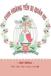 Chim Hoàng Yến Bị Quản Hư