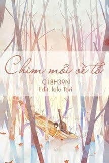 Chim Mỏi Về Tổ