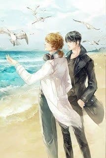 Chuyện Tình Hoa Tường Vi Màu Đỏ