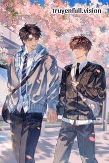 Không Làm Pháo Hôi Lụy Tình