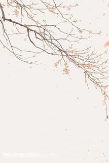 Lời Nói Dối Đầu Tiên Của Mùa Xuân