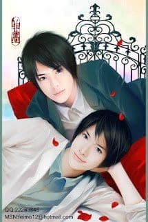 Ngoại Truyện Về K.O Và Mỹ Mi Ca