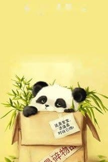 Người Người Đều Yêu Gấu Trúc