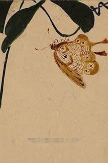 Những Câu Chuyện Được Kể Bởi Một Kẻ Dở Hơi