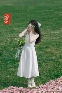 Thước Phim Cuối Đời