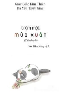 Trộm Một Mùa Xuân